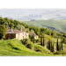 Wall Mural Under the sun of Tuscany - hillside landscape with trees in Italy with a house 97316 additionalThumb 1