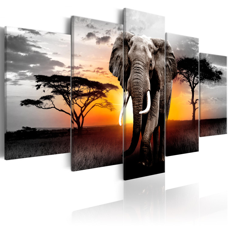 Canvas Elephant at Sunset (5-piece) - Journey Through Wild Africa 98616 additionalImage 2