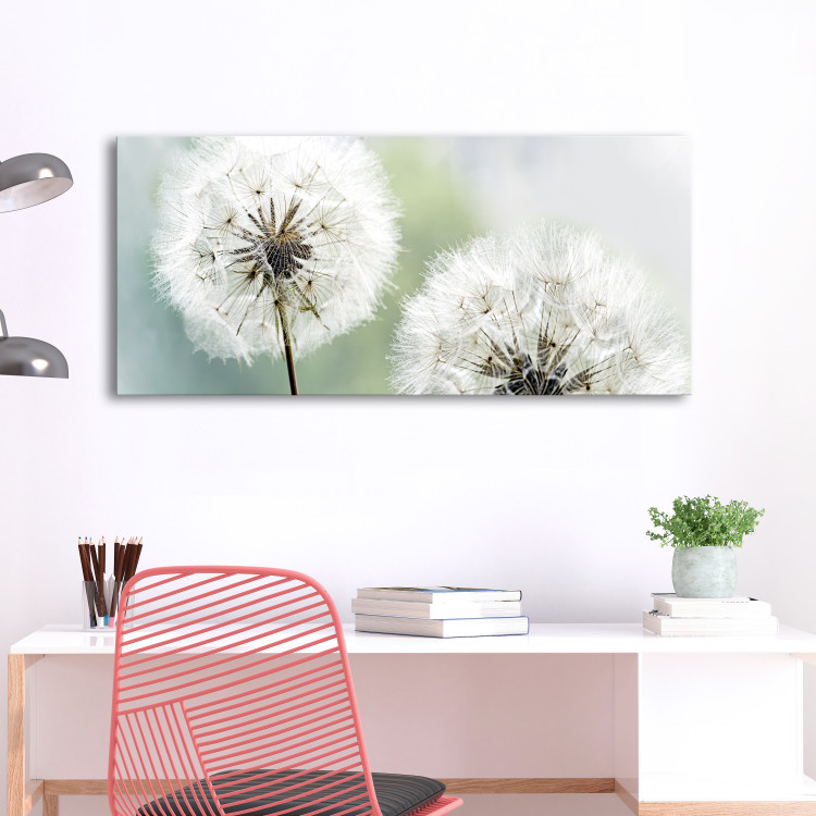Canvas Print Fluffy Dandelions (1 Part) Green Wide 107226 additionalImage 3