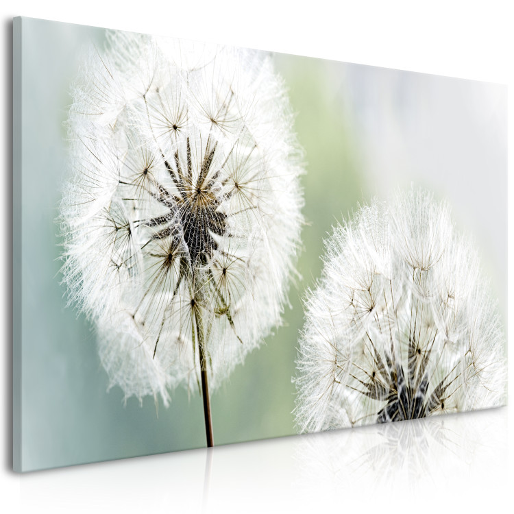 Canvas Print Fluffy Dandelions (1 Part) Green Wide 107226 additionalImage 2