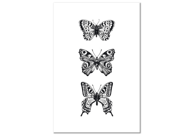 Canvas Three Butterflies (1 Part) Vertical 116926