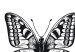 Canvas Three Butterflies (1 Part) Vertical 116926 additionalThumb 4