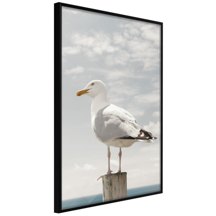 Wall Poster Seagull - water bird sitting on a pier with sea and cloudy sky in the background 117026 additionalImage 10