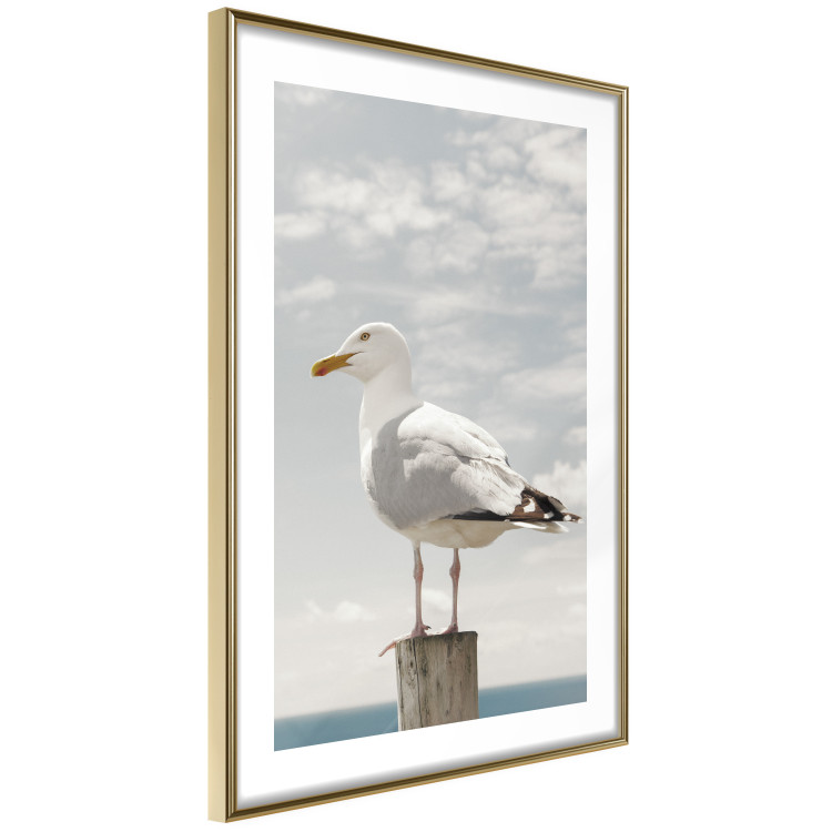 Wall Poster Seagull - water bird sitting on a pier with sea and cloudy sky in the background 117026 additionalImage 8