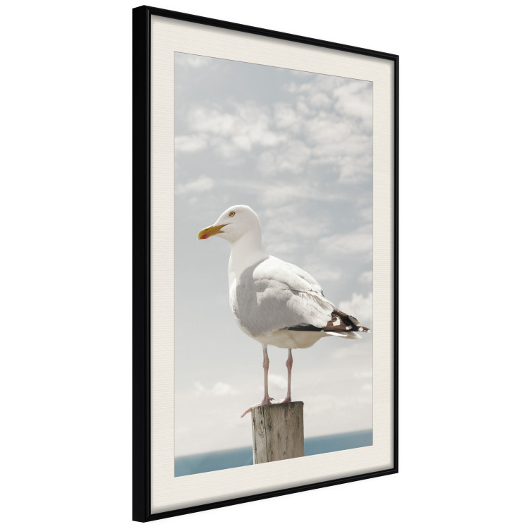 Wall Poster Seagull - water bird sitting on a pier with sea and cloudy sky in the background 117026 additionalImage 3