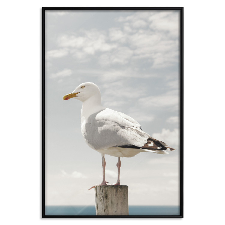 Wall Poster Seagull - water bird sitting on a pier with sea and cloudy sky in the background 117026 additionalImage 24