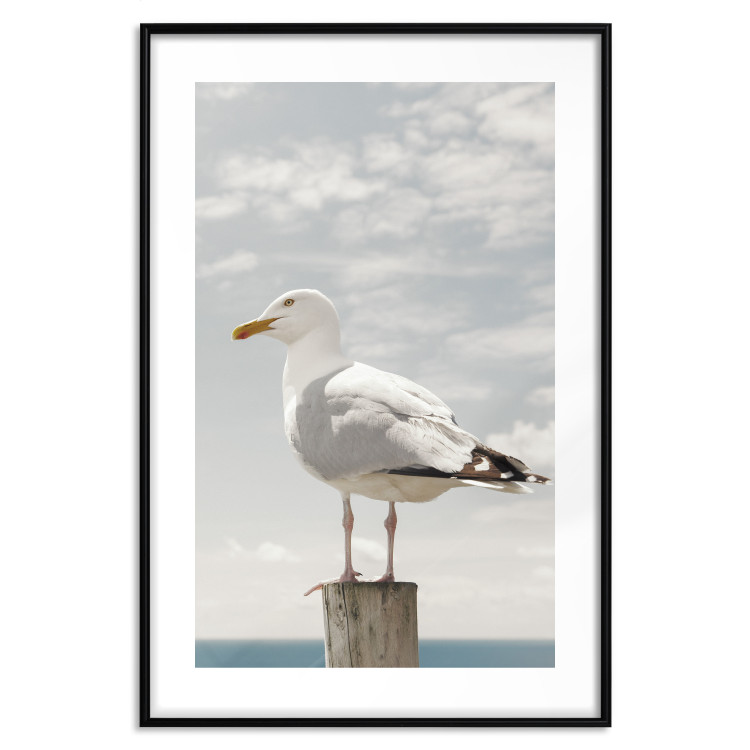 Wall Poster Seagull - water bird sitting on a pier with sea and cloudy sky in the background 117026 additionalImage 17