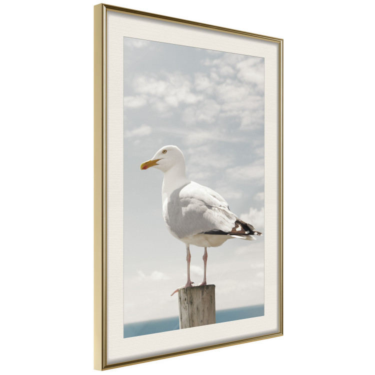Wall Poster Seagull - water bird sitting on a pier with sea and cloudy sky in the background 117026 additionalImage 2