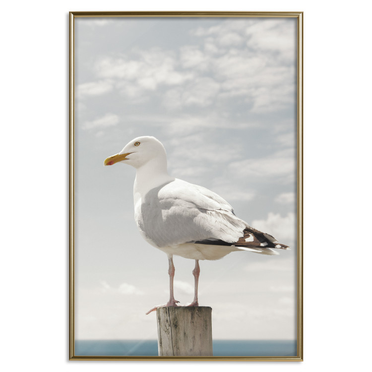 Wall Poster Seagull - water bird sitting on a pier with sea and cloudy sky in the background 117026 additionalImage 20