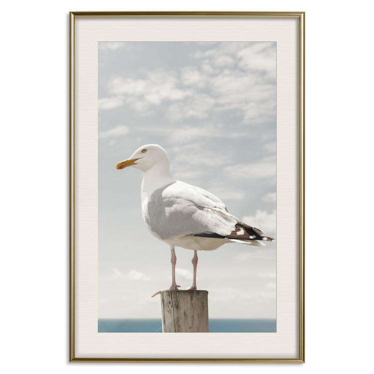 Wall Poster Seagull - water bird sitting on a pier with sea and cloudy sky in the background 117026 additionalImage 19