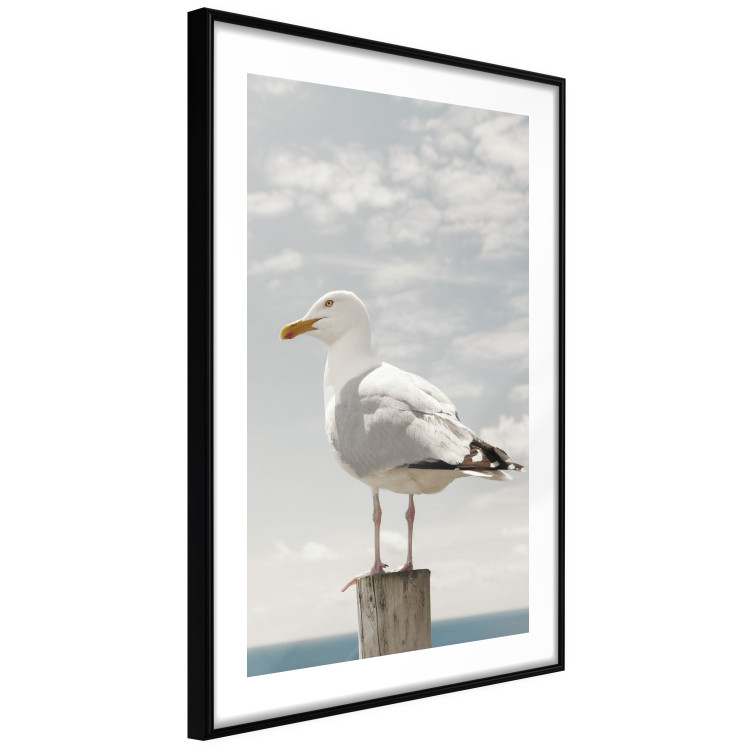 Wall Poster Seagull - water bird sitting on a pier with sea and cloudy sky in the background 117026 additionalImage 11