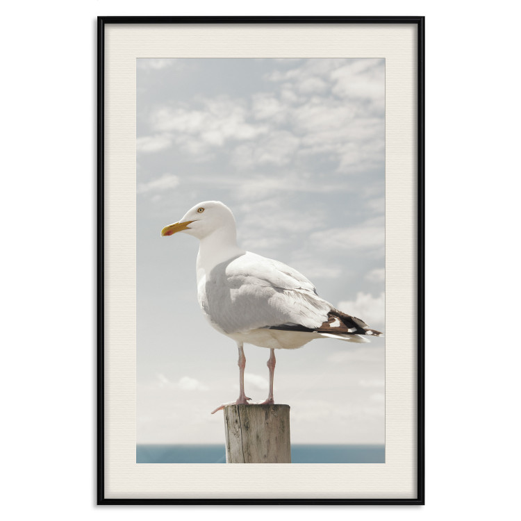 Wall Poster Seagull - water bird sitting on a pier with sea and cloudy sky in the background 117026 additionalImage 18