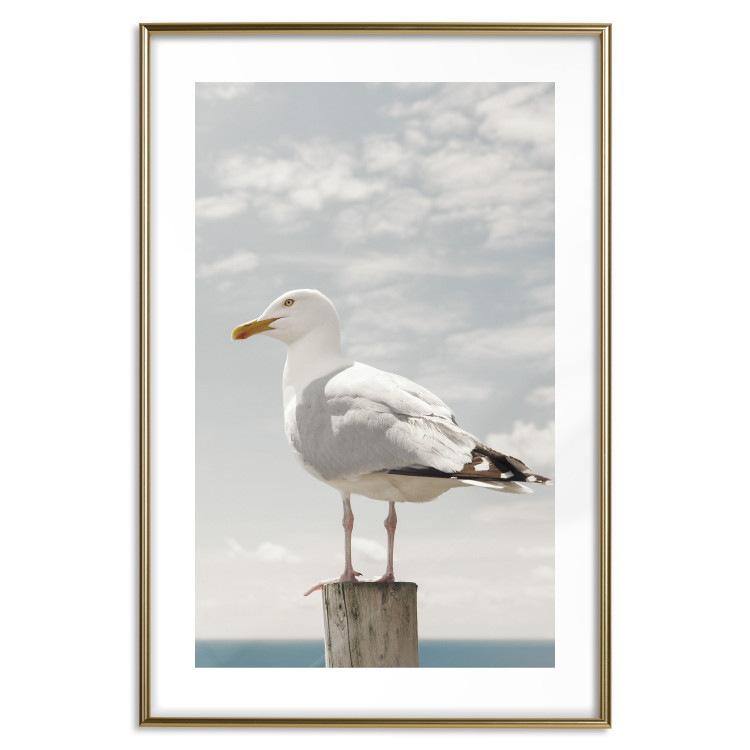 Wall Poster Seagull - water bird sitting on a pier with sea and cloudy sky in the background 117026 additionalImage 16