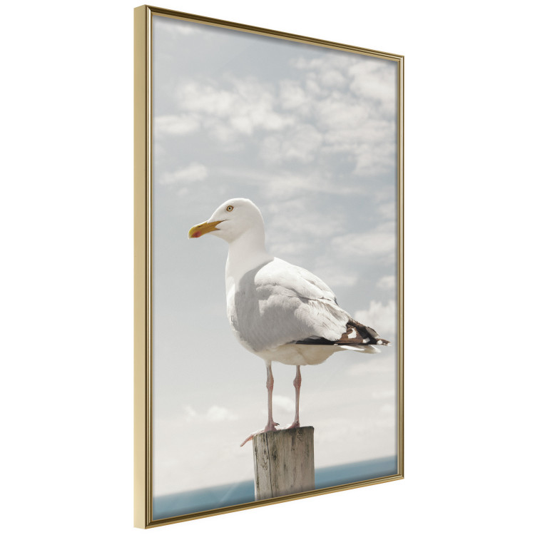 Wall Poster Seagull - water bird sitting on a pier with sea and cloudy sky in the background 117026 additionalImage 12
