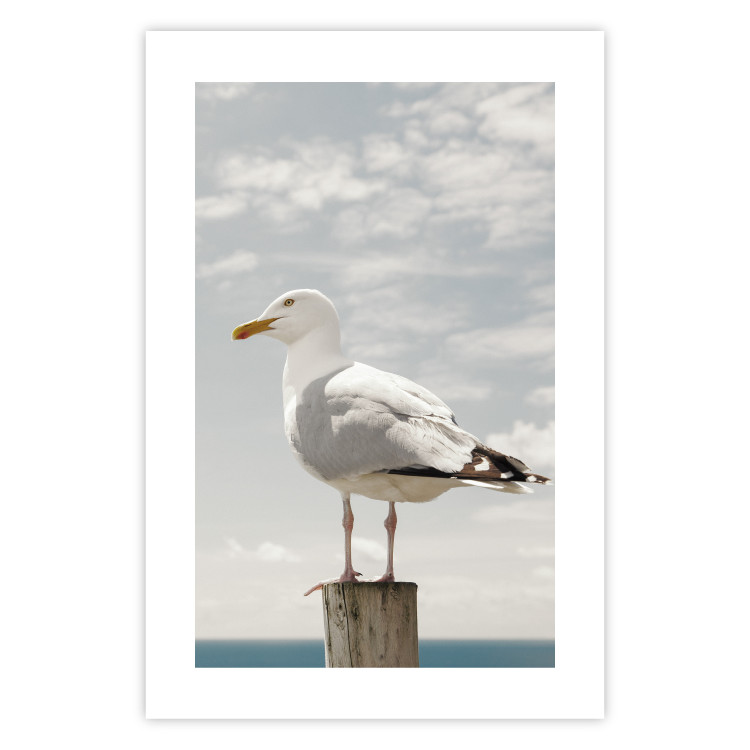 Wall Poster Seagull - water bird sitting on a pier with sea and cloudy sky in the background 117026 additionalImage 25