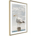 Wall Poster Seagull - water bird sitting on a pier with sea and cloudy sky in the background 117026 additionalThumb 6