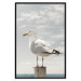 Wall Poster Seagull - water bird sitting on a pier with sea and cloudy sky in the background 117026 additionalThumb 18