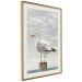 Wall Poster Seagull - water bird sitting on a pier with sea and cloudy sky in the background 117026 additionalThumb 2