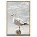 Wall Poster Seagull - water bird sitting on a pier with sea and cloudy sky in the background 117026 additionalThumb 20