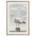 Wall Poster Seagull - water bird sitting on a pier with sea and cloudy sky in the background 117026 additionalThumb 19