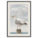 Wall Poster Seagull - water bird sitting on a pier with sea and cloudy sky in the background 117026 additionalThumb 18