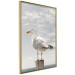Wall Poster Seagull - water bird sitting on a pier with sea and cloudy sky in the background 117026 additionalThumb 14