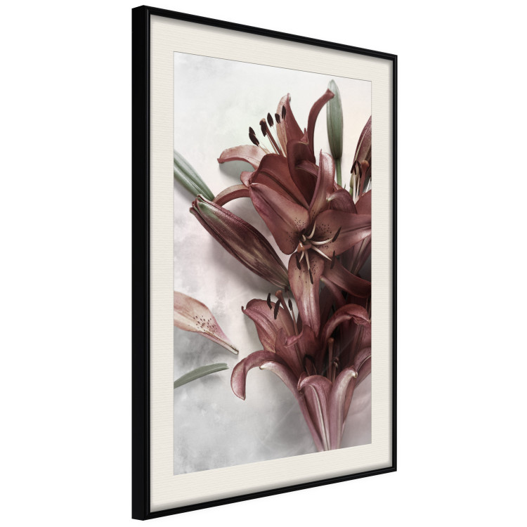Wall Poster Floral Form - plant with red flowers on concrete texture background 123526 additionalImage 3