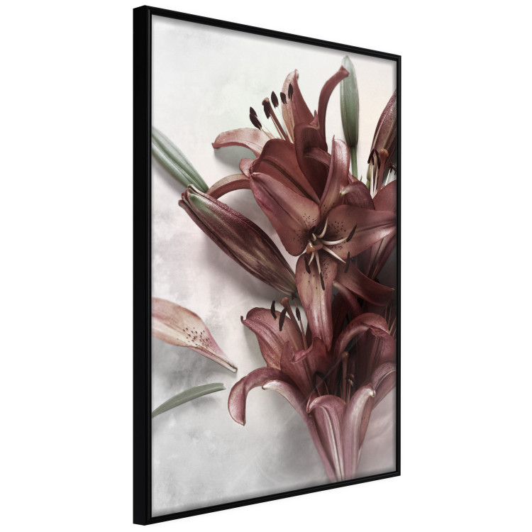 Wall Poster Floral Form - plant with red flowers on concrete texture background 123526 additionalImage 10