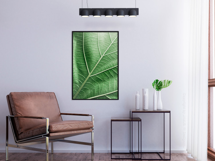 Wall Poster Malachite Leaf - green leaf with precise texture in close-up 126826 additionalImage 4