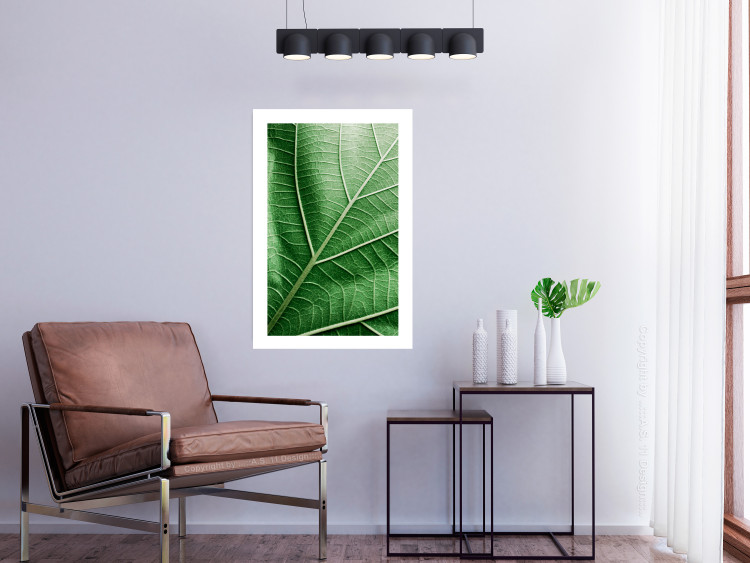 Wall Poster Malachite Leaf - green leaf with precise texture in close-up 126826 additionalImage 3