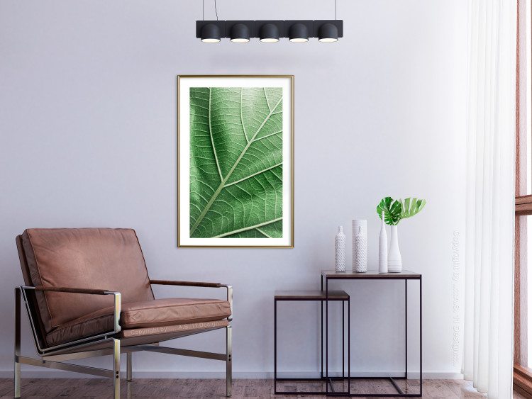 Wall Poster Malachite Leaf - green leaf with precise texture in close-up 126826 additionalImage 13