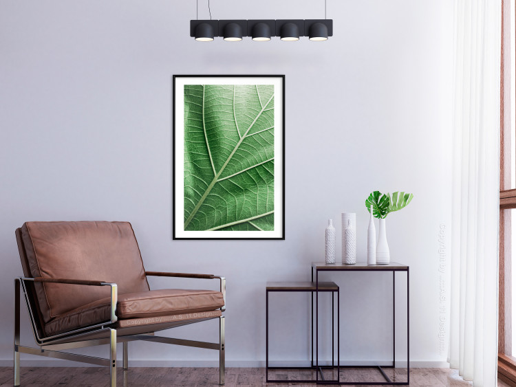 Wall Poster Malachite Leaf - green leaf with precise texture in close-up 126826 additionalImage 18