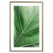 Wall Poster Malachite Leaf - green leaf with precise texture in close-up 126826 additionalThumb 14