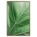 Wall Poster Malachite Leaf - green leaf with precise texture in close-up 126826 additionalThumb 17