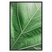 Wall Poster Malachite Leaf - green leaf with precise texture in close-up 126826 additionalThumb 16