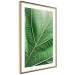 Wall Poster Malachite Leaf - green leaf with precise texture in close-up 126826 additionalThumb 7