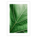 Wall Poster Malachite Leaf - green leaf with precise texture in close-up 126826 additionalThumb 19