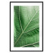 Wall Poster Malachite Leaf - green leaf with precise texture in close-up 126826 additionalThumb 15