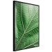 Wall Poster Malachite Leaf - green leaf with precise texture in close-up 126826 additionalThumb 11