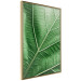 Wall Poster Malachite Leaf - green leaf with precise texture in close-up 126826 additionalThumb 12