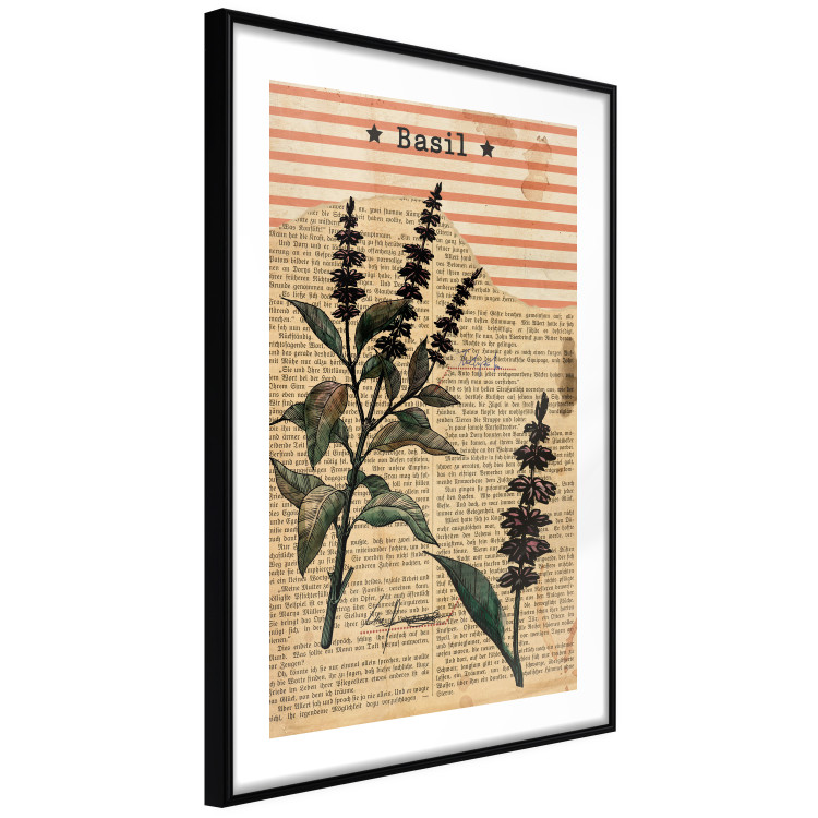 Wall Poster Basil Poetry - vintage composition with plants and black text in background 129426 additionalImage 8