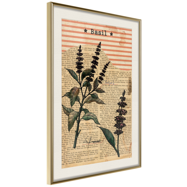 Wall Poster Basil Poetry - vintage composition with plants and black text in background 129426 additionalImage 3