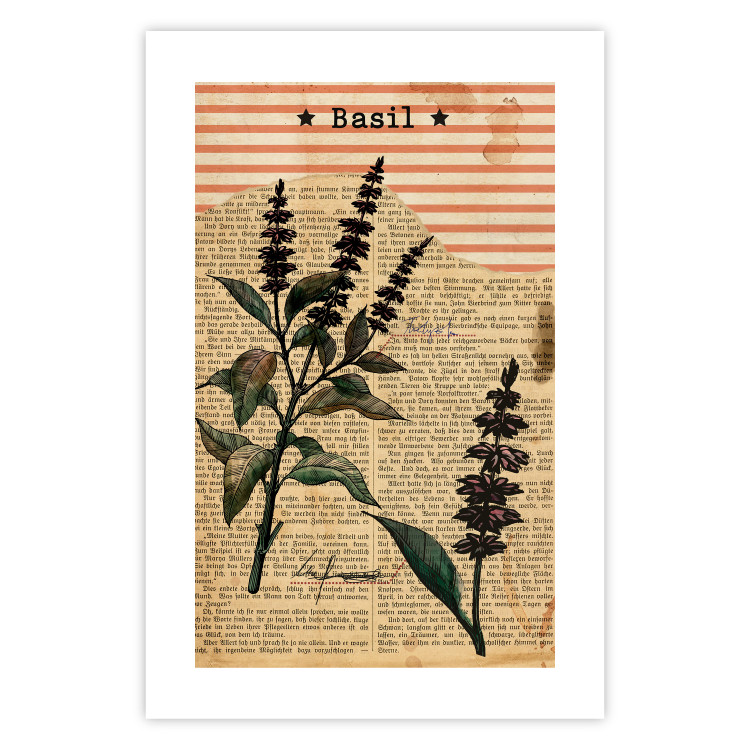 Wall Poster Basil Poetry - vintage composition with plants and black text in background 129426 additionalImage 19