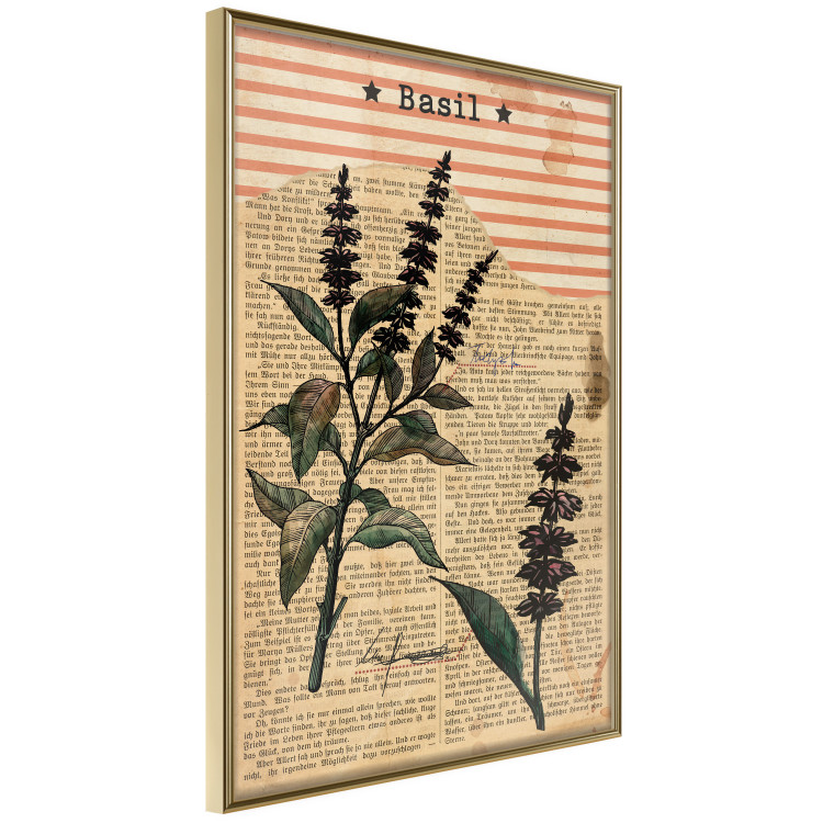 Wall Poster Basil Poetry - vintage composition with plants and black text in background 129426 additionalImage 12