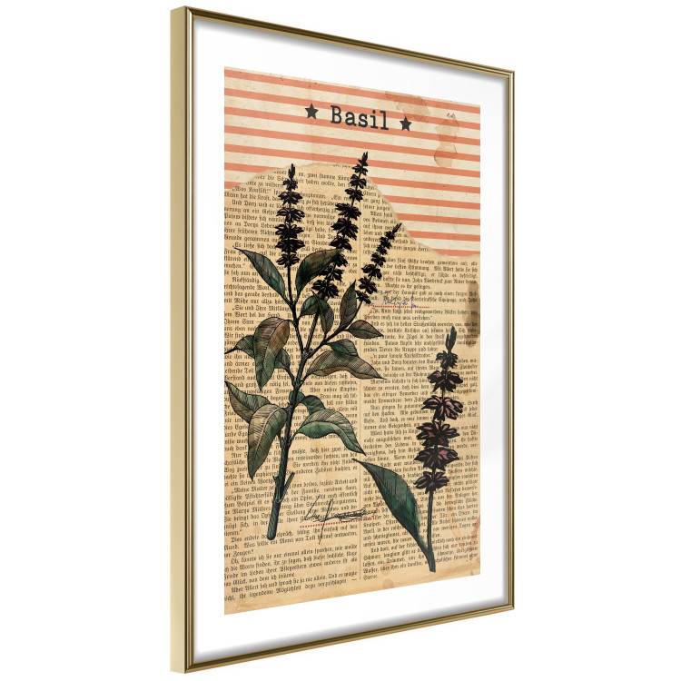 Wall Poster Basil Poetry - vintage composition with plants and black text in background 129426 additionalImage 9