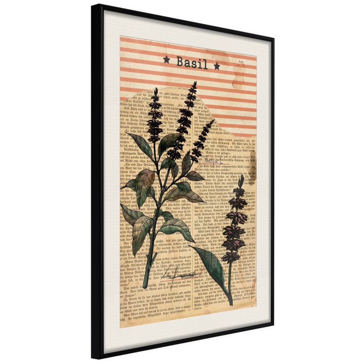 Wall Poster Basil Poetry - vintage composition with plants and black text in background 129426 additionalImage 2