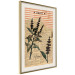 Wall Poster Basil Poetry - vintage composition with plants and black text in background 129426 additionalThumb 3