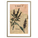 Wall Poster Basil Poetry - vintage composition with plants and black text in background 129426 additionalThumb 16