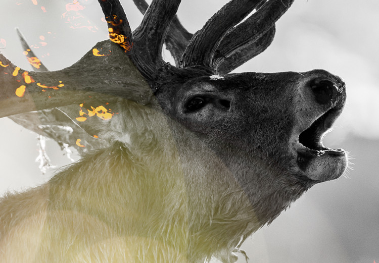 Canvas Golden Roar (1-piece) Wide - natural deer in glamour motif 134626 additionalImage 5