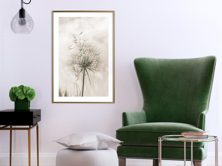 Poster Gentle Breeze - composition with a delicate light dandelion flower 135826 additionalImage 13